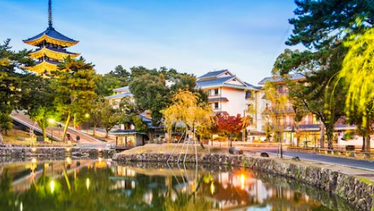 修学旅行　マジック